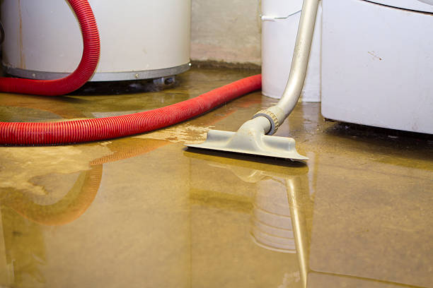 Best Water damage restoration near me  in Florence, KY